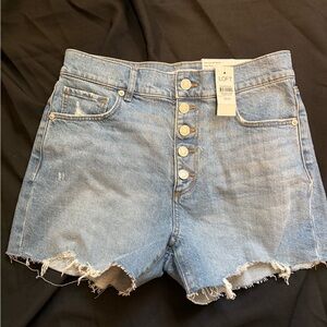LOFT Women's The Cut Off Short